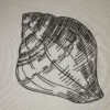 Shell sketch embroidery design - sea shell embroidery - sketch embroidery pattern