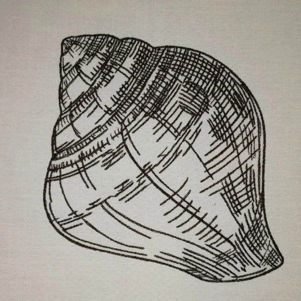 Shell sketch embroidery design - sea shell embroidery - sketch embroidery pattern