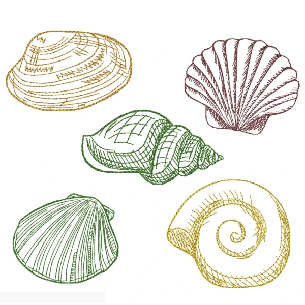 Shell sketch embroidery designs - sketch embroidery pattern Shell sketch embroidery designs - sketch embroidery pattern
