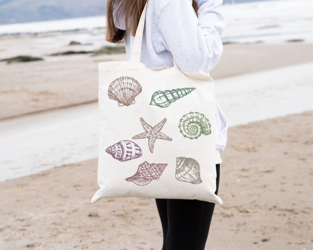 Shell Sketch Embroidery Design Bundle