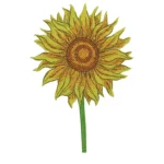 Sunflower Embroidery Design 4 - Machine Embroidery