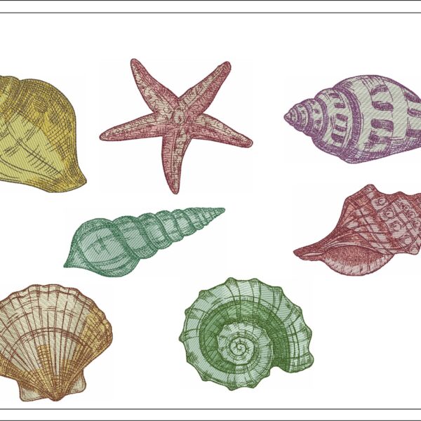 Small shells collection embroidery designs