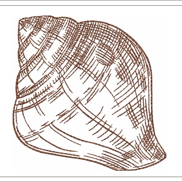 Shell sketch embroidery design