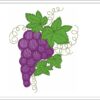 Grapes embroidery design