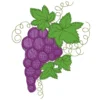 Grapes embroidery design - fruit embroidery pattern - machine embroidery design 1