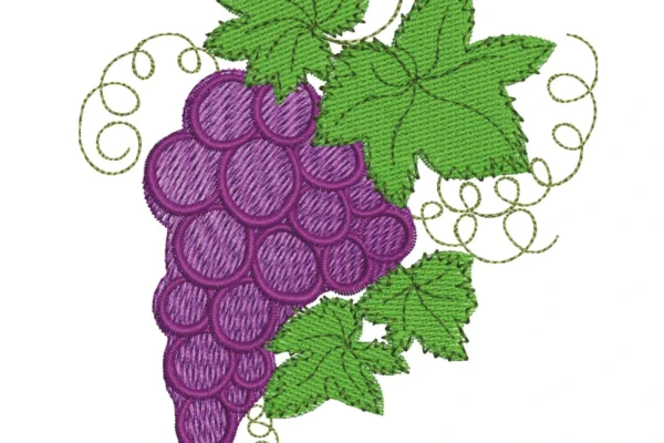 Grapes embroidery design - fruit embroidery pattern - machine embroidery design 1