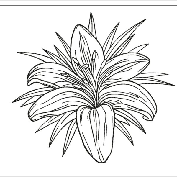 Lily sketch embroidery design