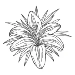 Lily Sketch Embroidery Design - Simple Embroidery Pattern