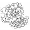 Peonies sketch embroidery design