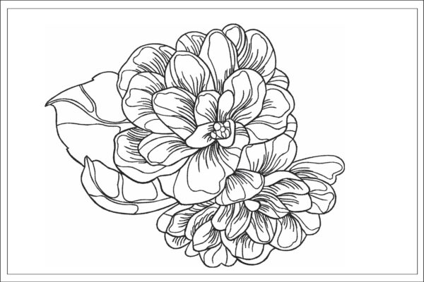 Peonies sketch embroidery design