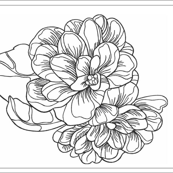 Peonies sketch embroidery design