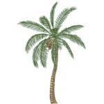 Coconut Palm Tree Embroidery Design 2 - Digital Files