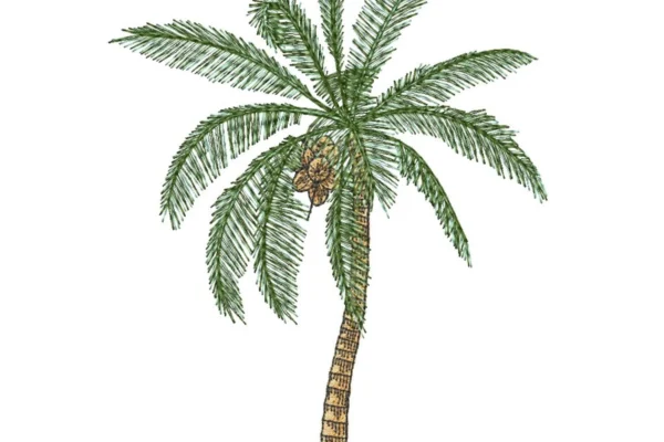 Coconut palm tree embroidery design 2