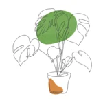 Monstera Embroidery Design - One Line Embroidery