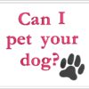 Can I Pet Your Dog embroidery design