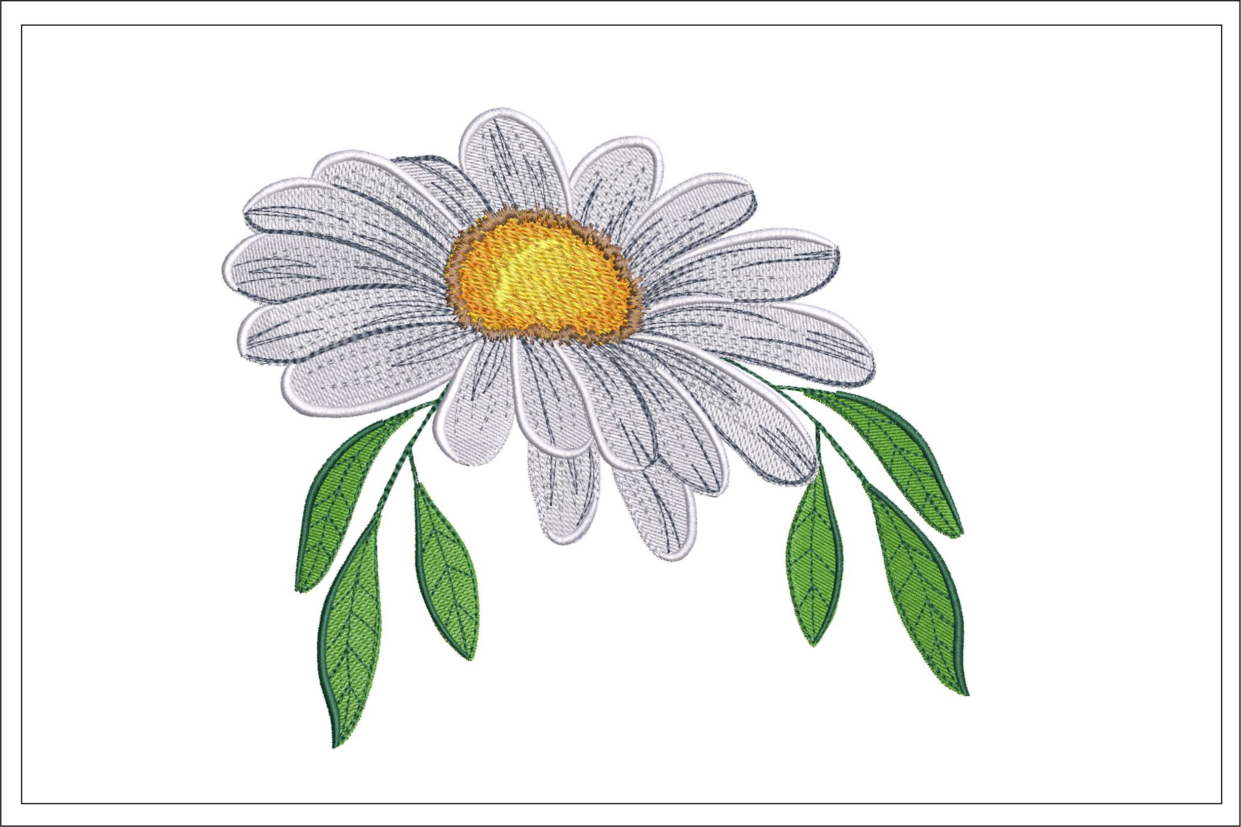 Daisy embroidery design