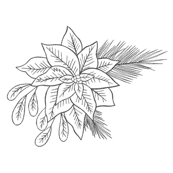 Poinsettia sketch embroidery design - Christmas embroidery pattern - sketch embroidery design - machine embroidery