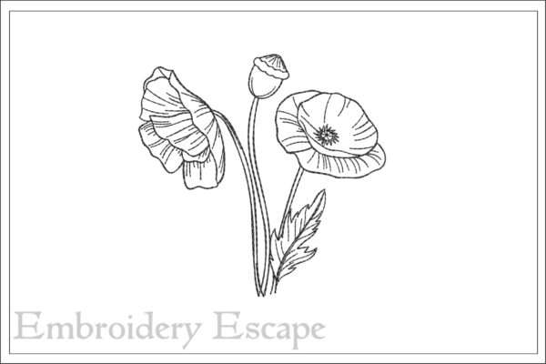 Poppy sketch embroidery design