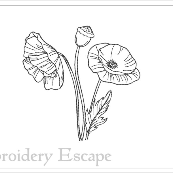 Poppy sketch embroidery design