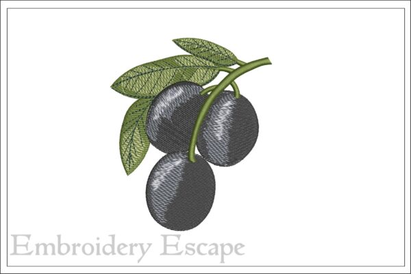Black olives embroidery design