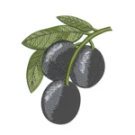 Black Olives Embroidery Design - Machine Embroidery
