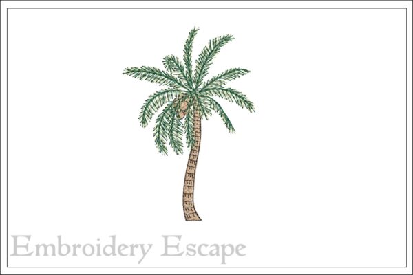 Coconut Palm Tree