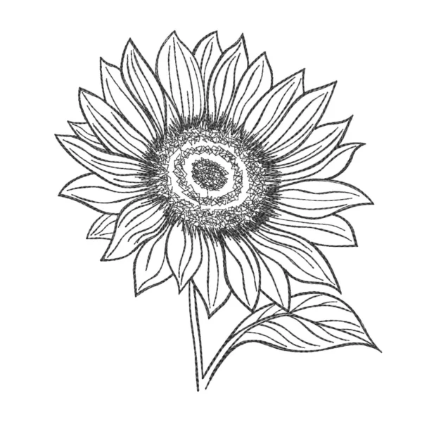 Sunflower embroidery design 14 - sketch embroidery design - machine embroidery