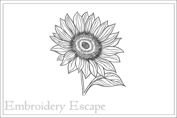 Sunflower sketch embroidery design